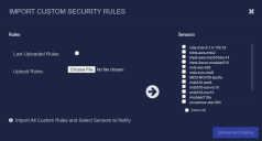 Sensor Import Security Rules