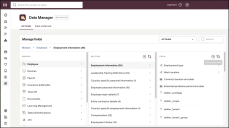 Screen capture of Rippling Data Manager