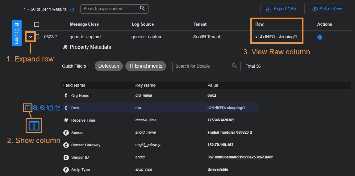 Select the image to expand and collapse it. Screen capture of the properties in an expanded Interflow record and how to show the Raw column